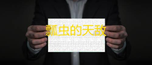 黑神话悟空下载瓢虫的天敌