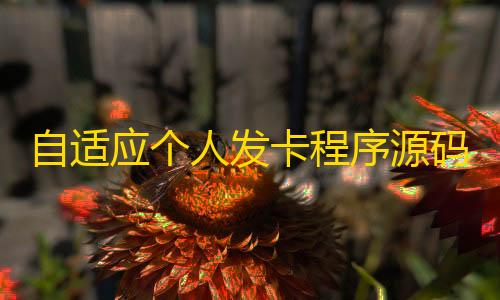 王者荣耀辅助英雄有哪些自适应个人发卡程序源码 完美版对接免签约